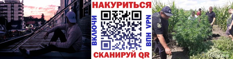 Магазины продажи наркотиков Гай A-PVP МАРИХУАНА Меф ГАШИШ