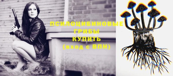 герыч Белокуриха