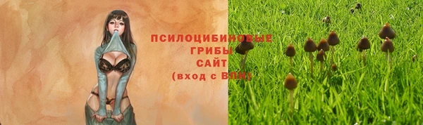 МДМА Тайга